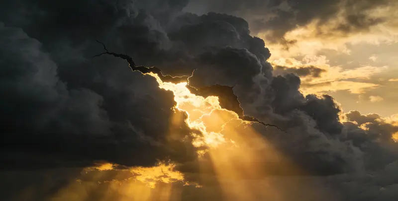 延边肺癌11基因检测组织版图片1