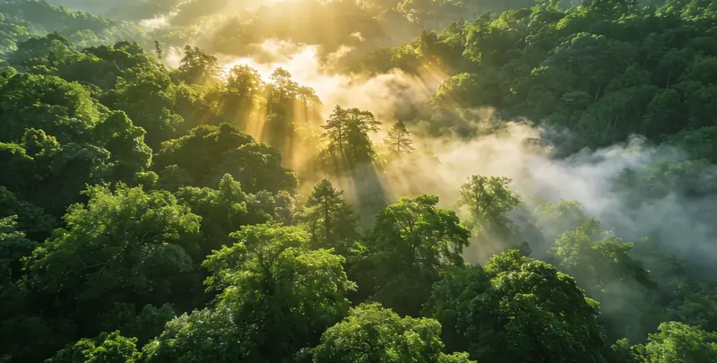 延边肺癌8基因突变检测（组织）图片1