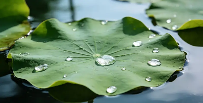 延边乳腺癌21基因mRNA表达分析图片1