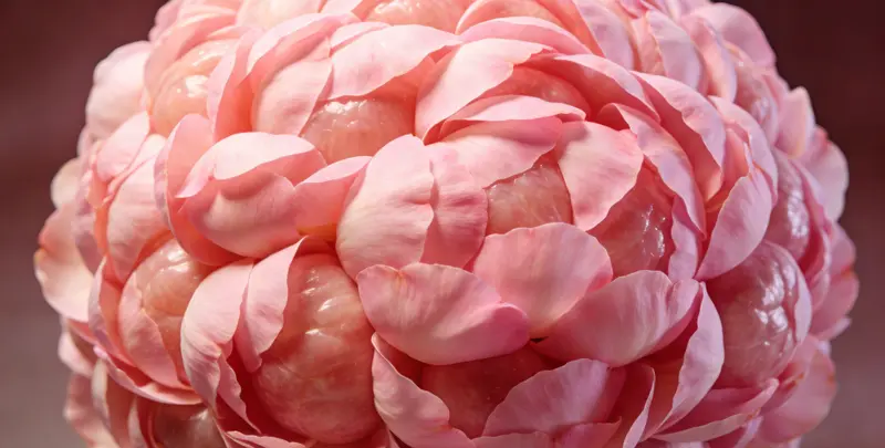 延边BRCA1/2乳腺癌卵巢癌基因检测图片1